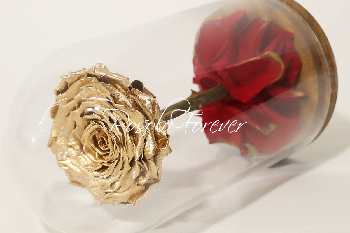Belle grande rose éternelle sous cloche, taille XL, spéciale, or