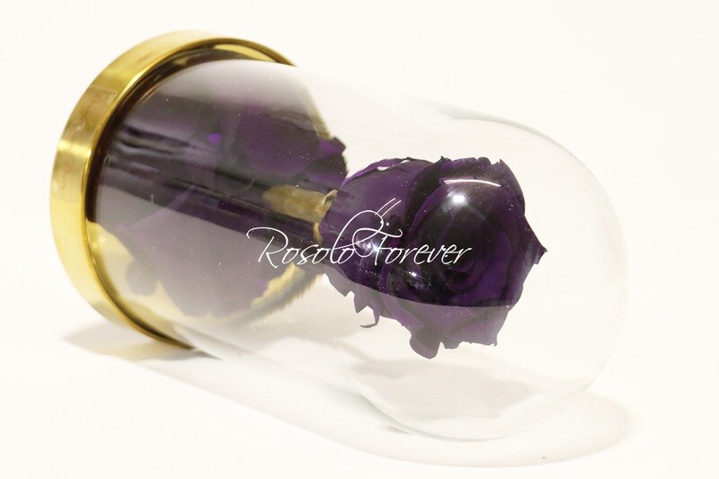 Belle rose éternelle sous cloche, taille L, violet