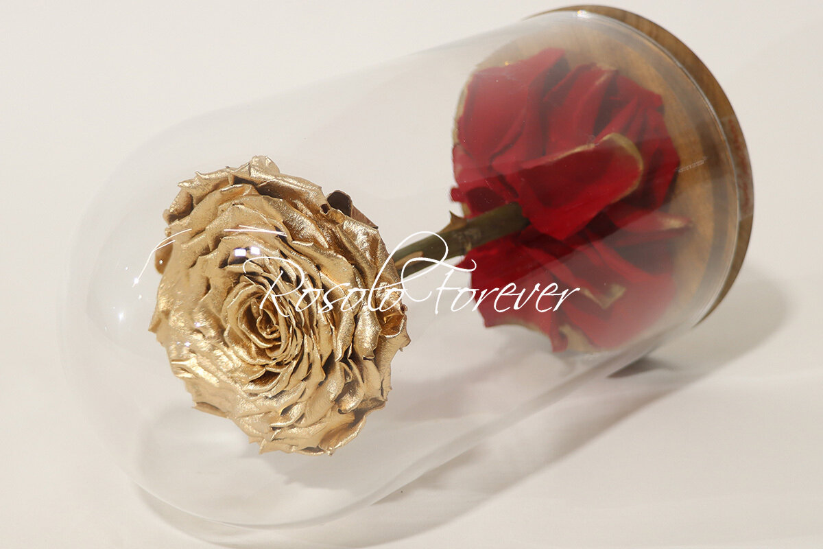 Belle rose éternelle XXL sous cloche (la rose d'or)