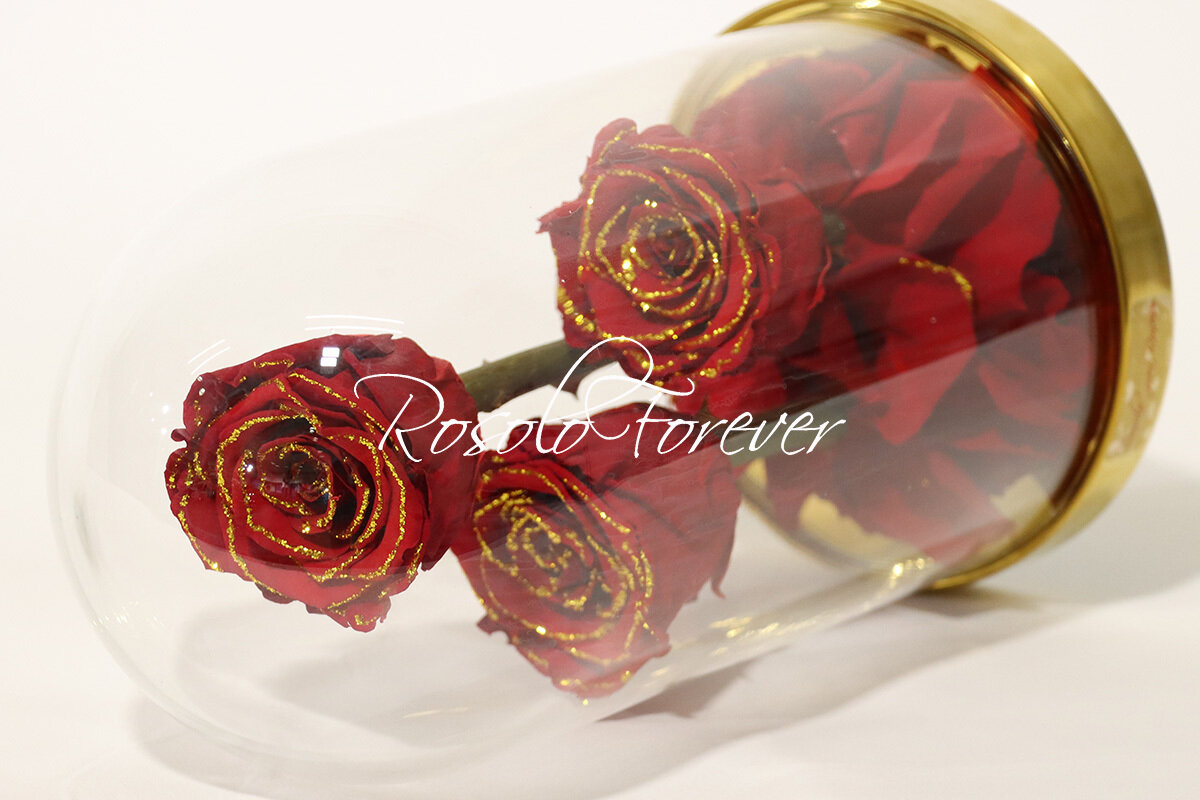 Belles rose éternelles sous cloche (roses spéciales, rouge-or)