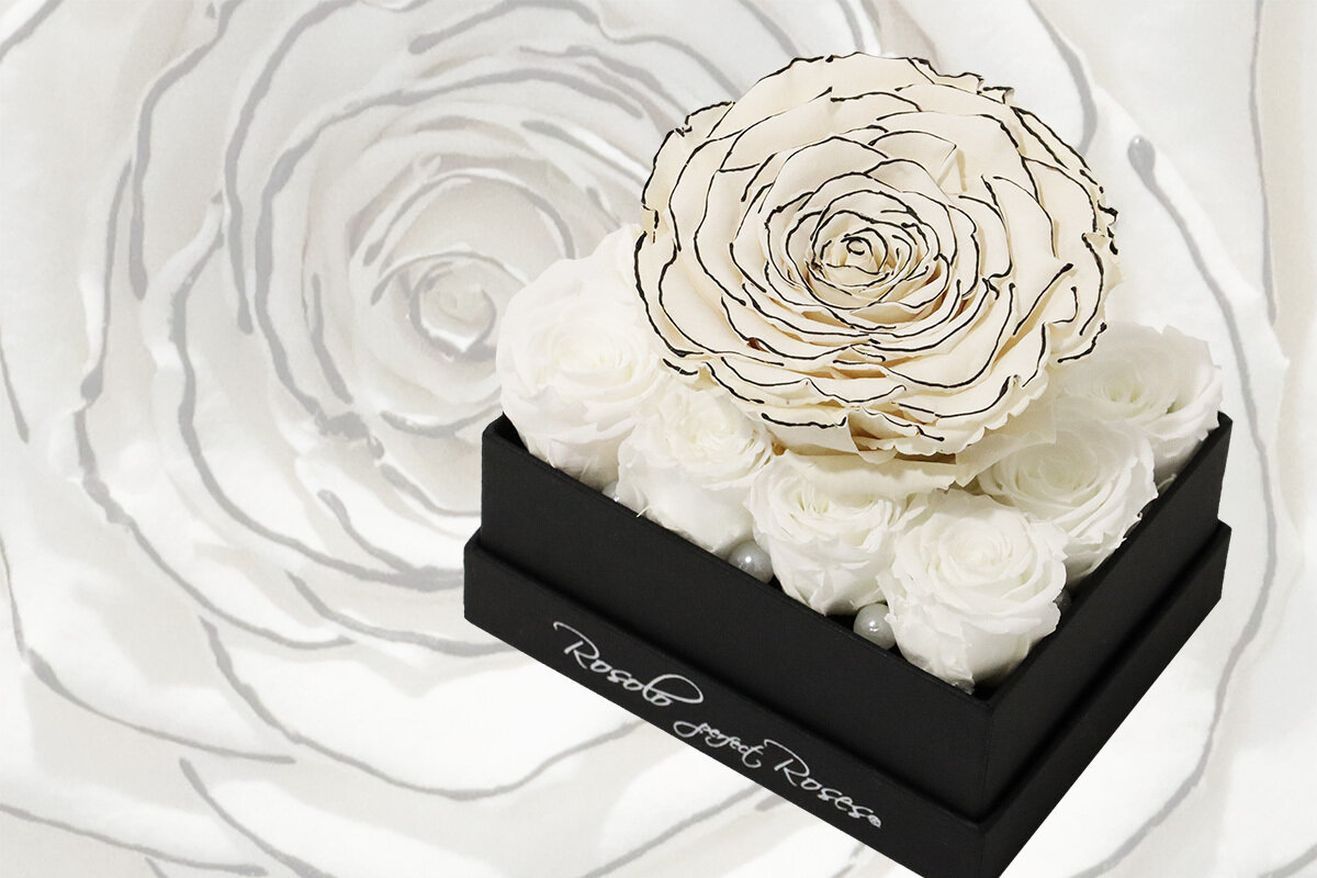 Boîte rectangulaire, 12 roses éternelles miniatures en blanc et 1 rose XXL très spéciale, bicolore