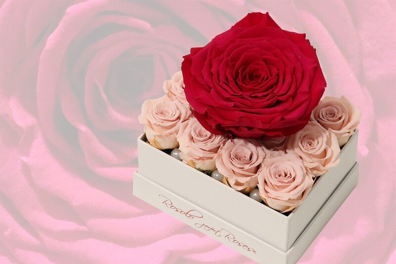 Boîte rectangulaire, 12 roses éternelles miniatures en rose et 1 rose XXL en fuchsia