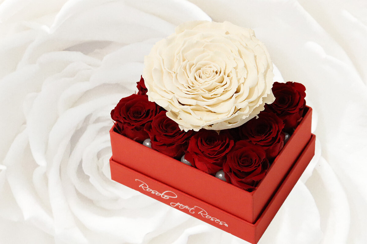 Boîte rectangulaire, 12 roses éternelles miniatures en rouge et 1 rose XXL en crème