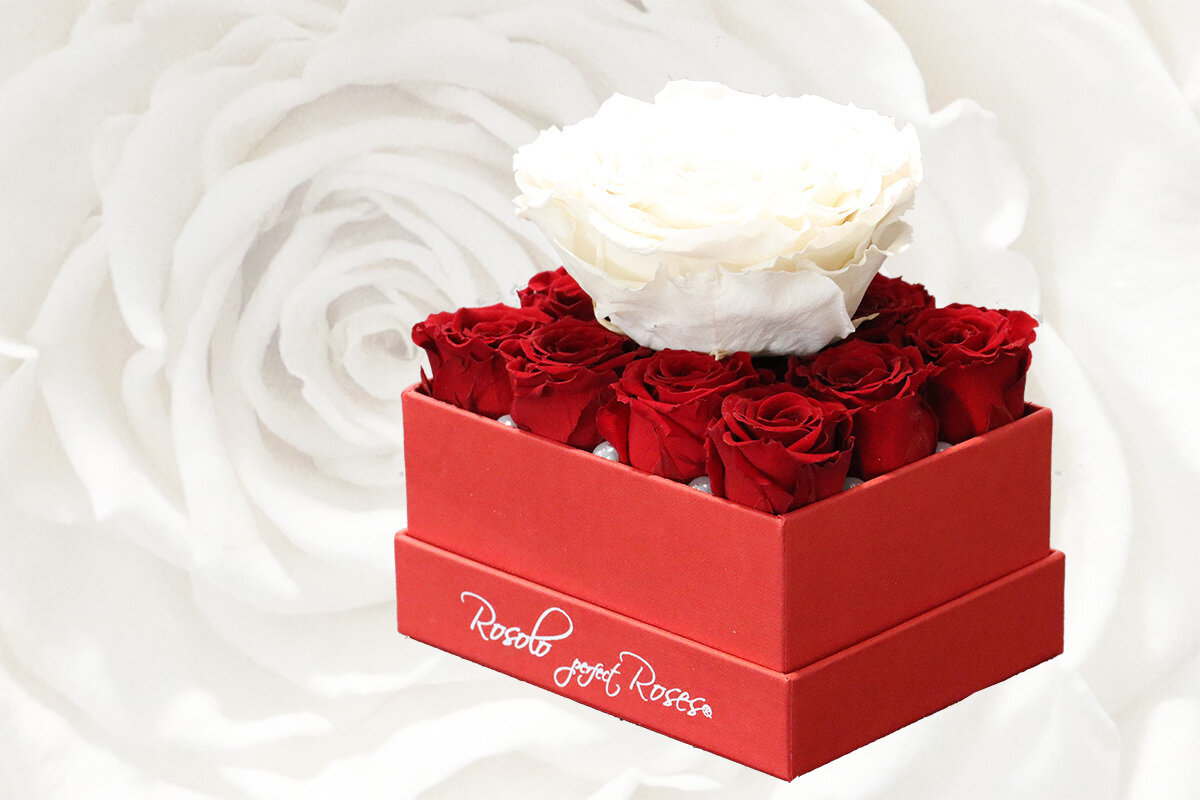 Boîte rectangulaire, 12 roses éternelles miniatures et 1 rose XXL en rouge et blanc