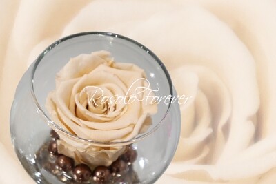 Rose éternelle, champagne, dans un vase boule