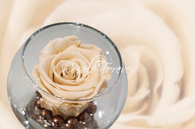 Rose éternelle, champagne, dans un vase boule