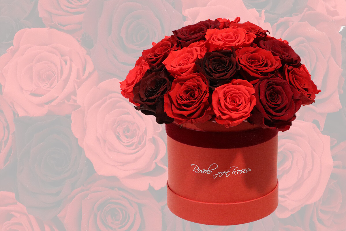 Superbe boîte de roses stabilisées en rouge, plusieurs tailles disponibles