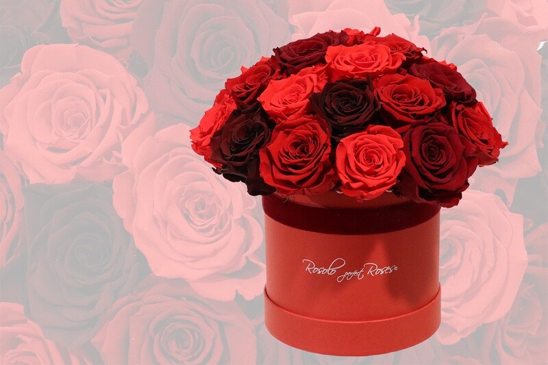 Superbe boîte de roses stabilisées en rouge, plusieurs tailles disponibles