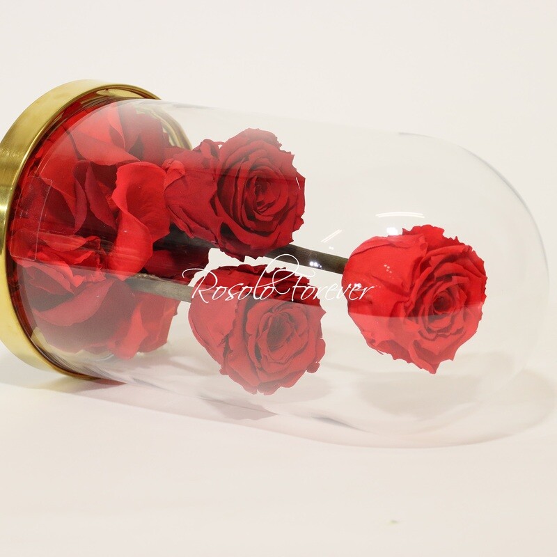 3 grandes roses éternelles sous cloche, tons rouge-claire / rouge foncé