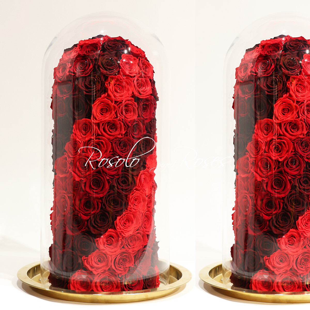 Cloche exceptionnelle et blanc