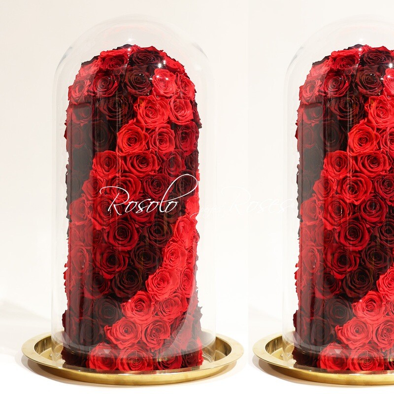 Cloche exceptionnelle et blanc