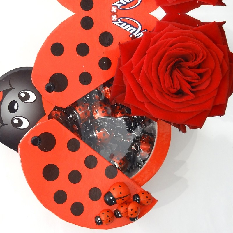 Munz coccinelles en chocolat