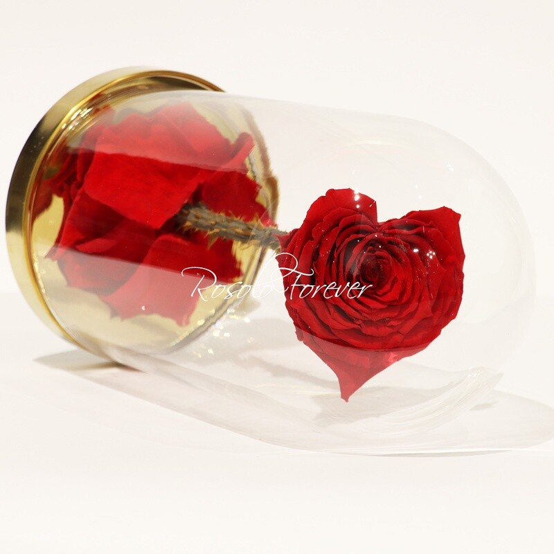 SPÉCIAL: Rose éternelle EN FORME DE COEUR, sous cloche, taille XL, rouge vif, beaucoup d'épines