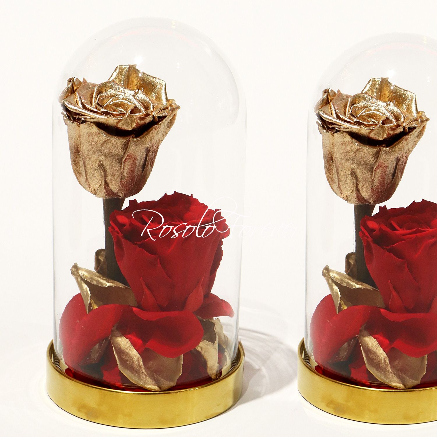 2 grandes roses éternelles sous cloche, tons or et rouge