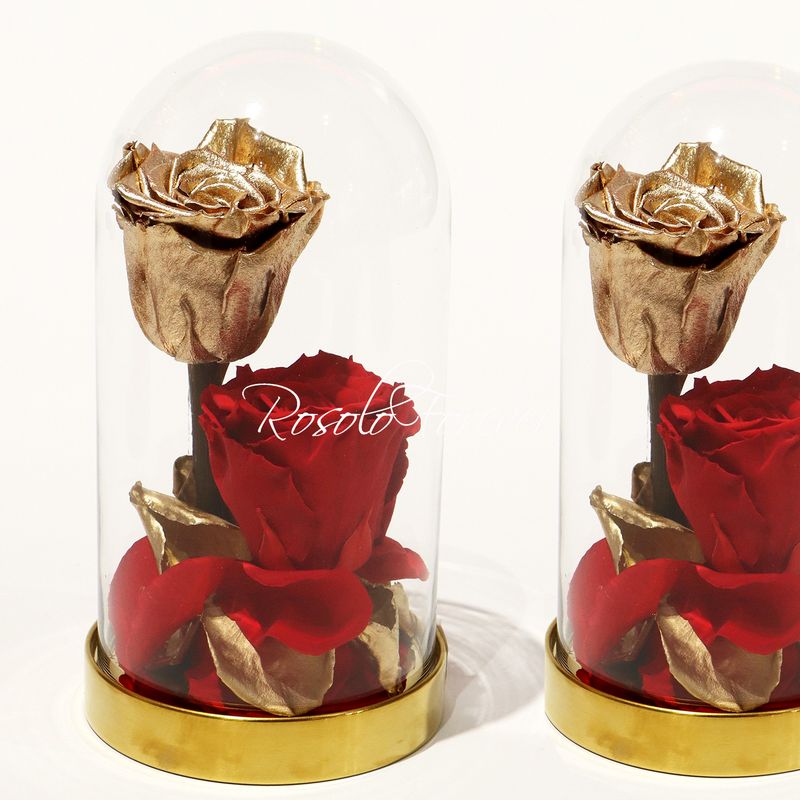 2 grandes roses éternelles sous cloche, tons or et rouge