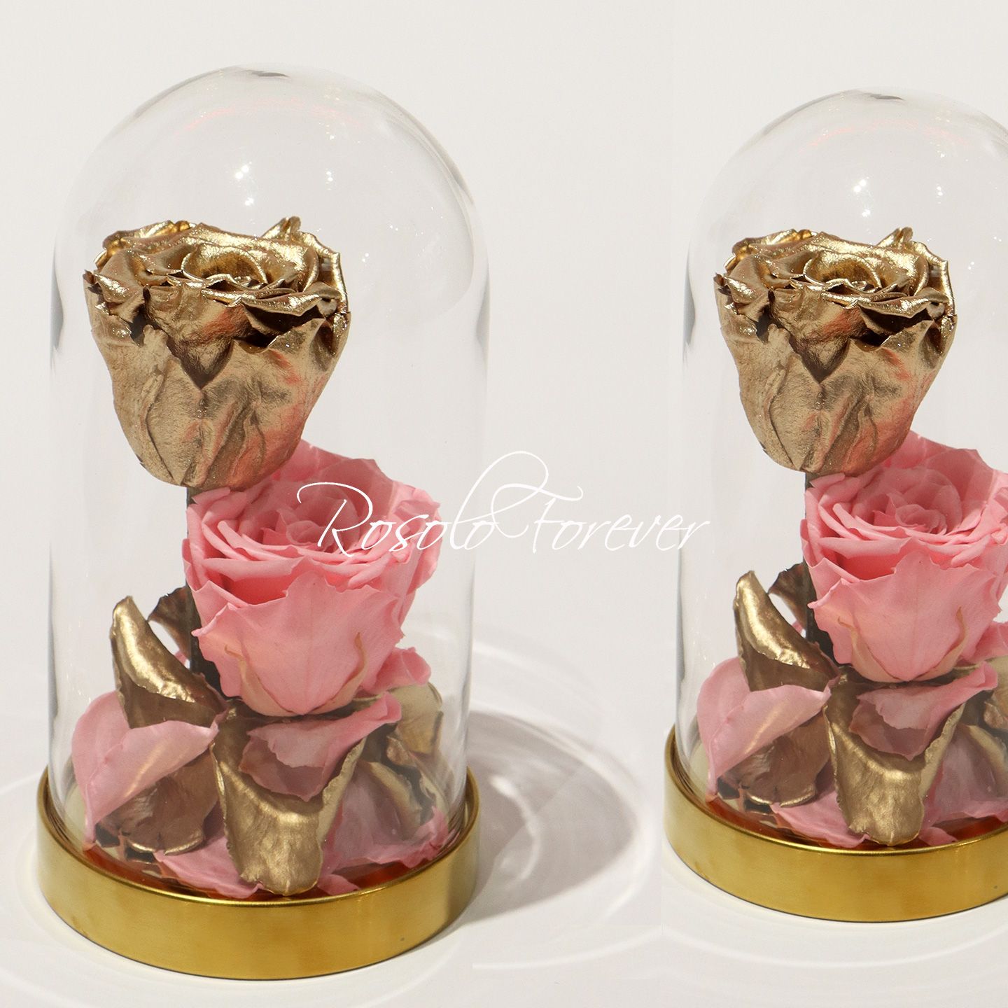2 grandes roses éternelles sous cloche, tons or et rose