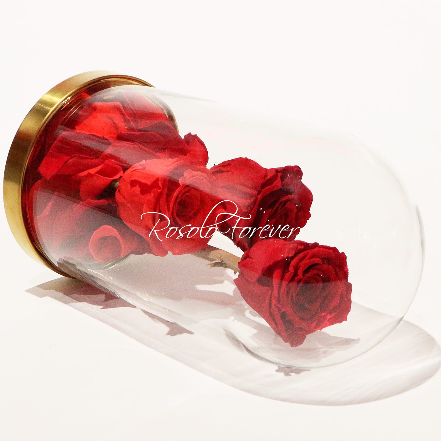 TRIO:  3 belles roses éternelles, taille L ,sous cloche