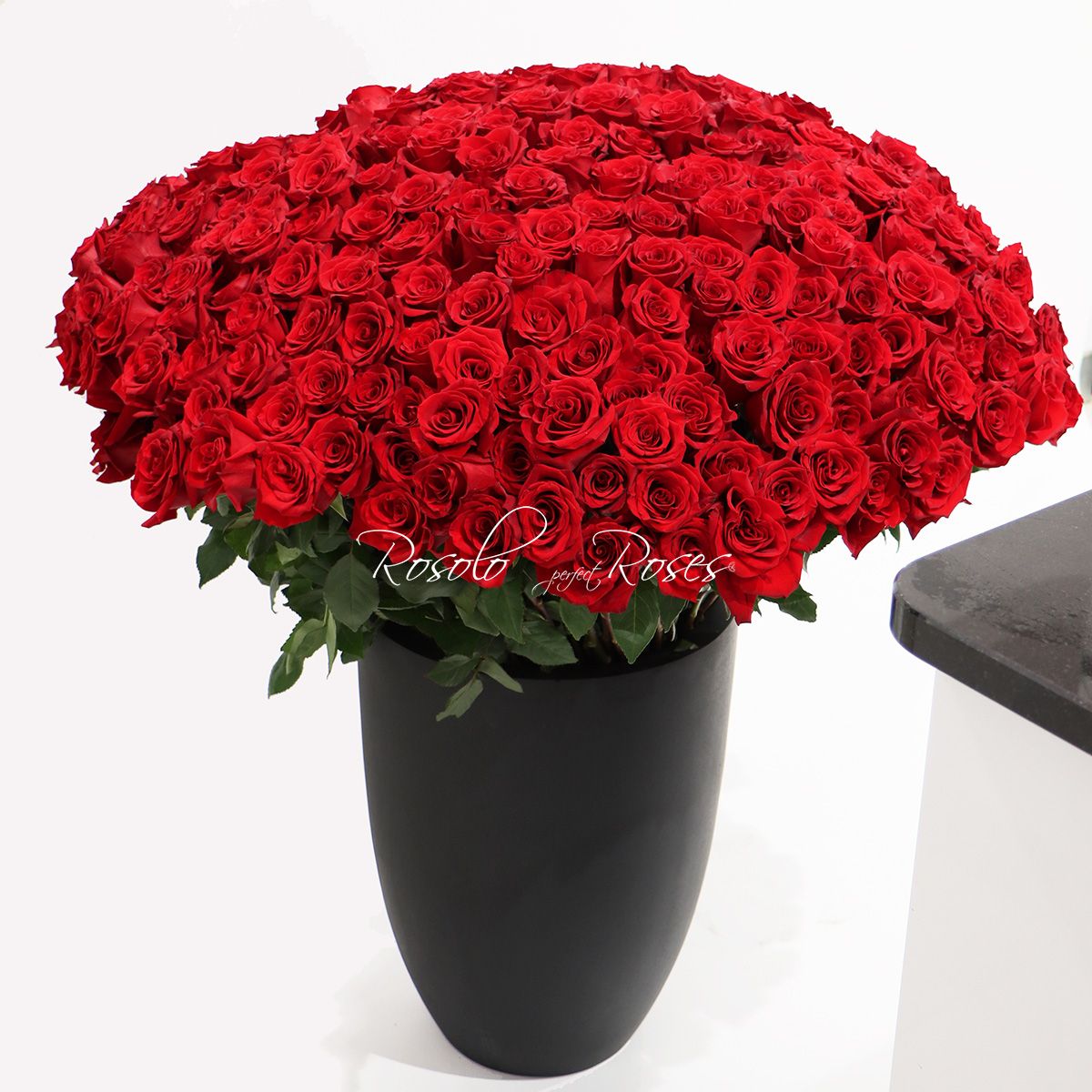301 grandes roses rouges dans un arrangement