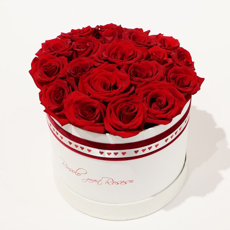 Belle boite ROSOLO, 18 grandes roses rouges