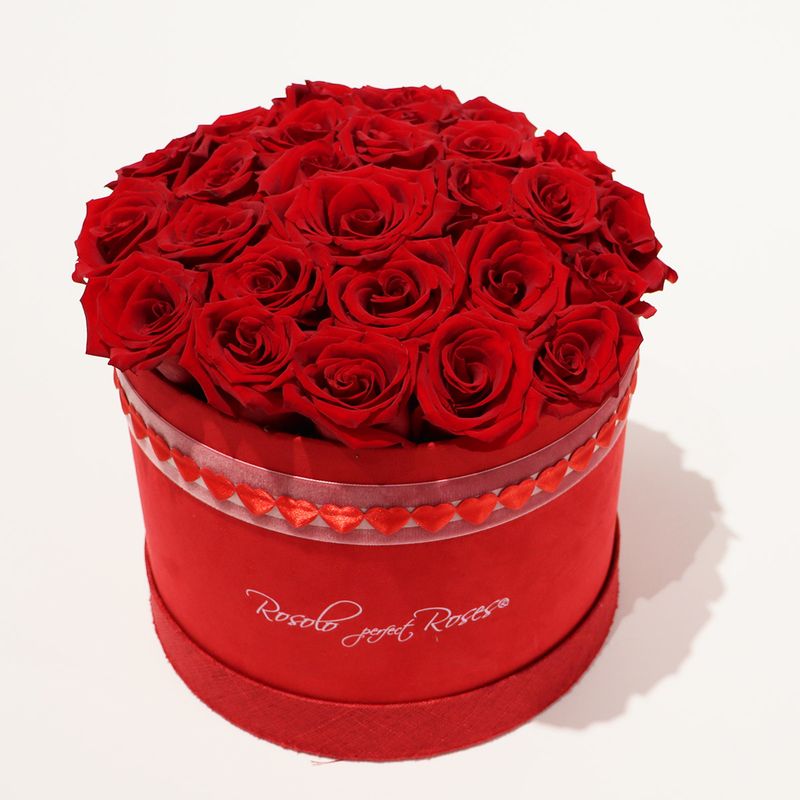 Belle boite ROSOLO, 24 grandes roses rouges