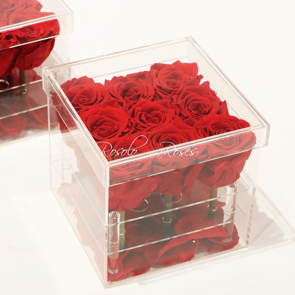 FOREVER: Belle boite de roses éternelles, Taille: 9 roses