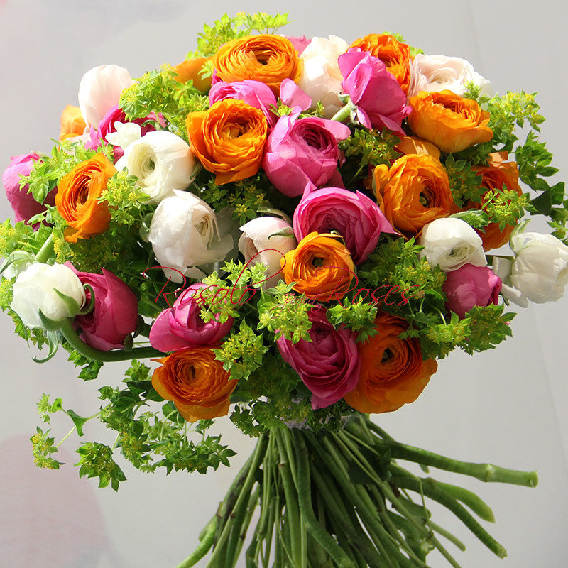 Renoncules fantastiques