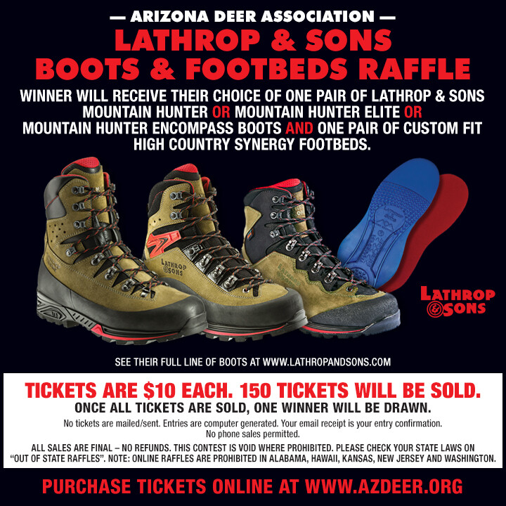 Lathrop and Sons Boots and Footbed Ticket