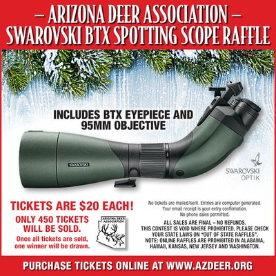 Swarovski BTX Raffle Ticket