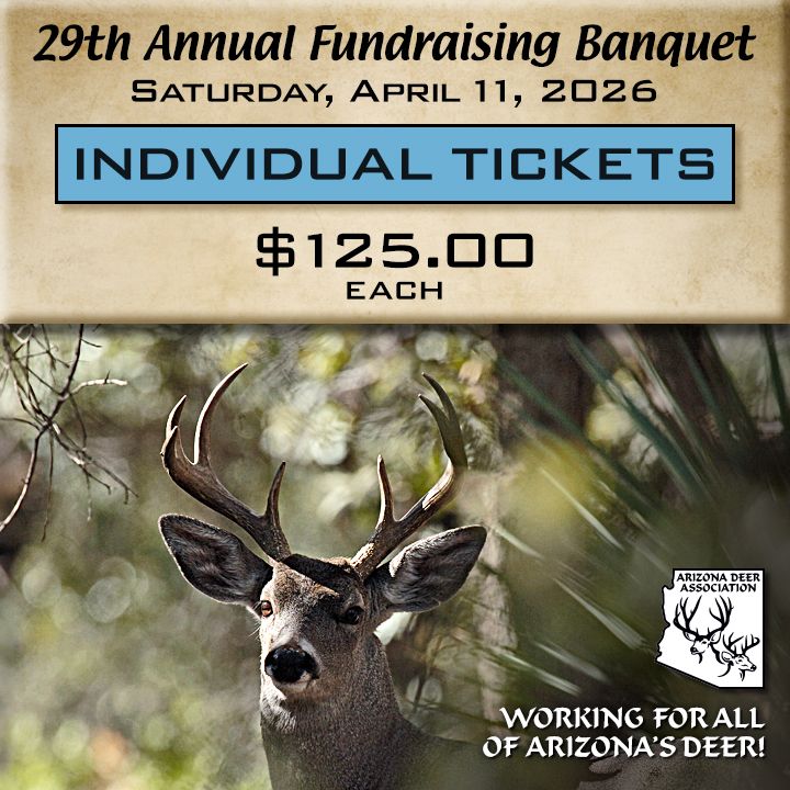 Individual Banquet Ticket 2026 Banquet