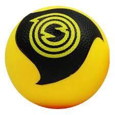Spikeball Pro Ball Extra Ball