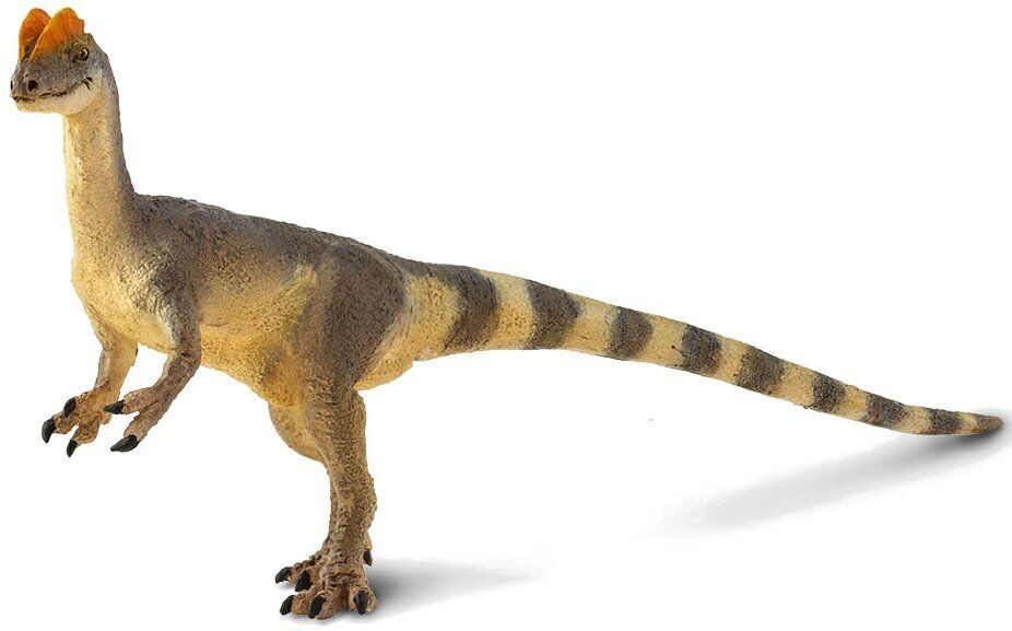 100508 Dilophosaurus
