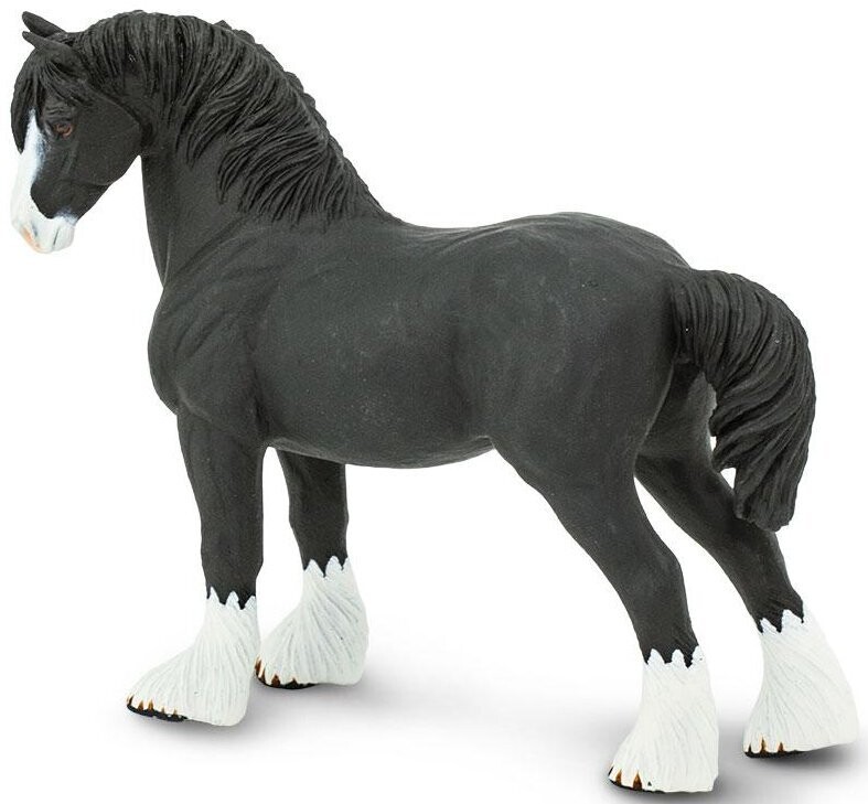 159505 Shire Stallion