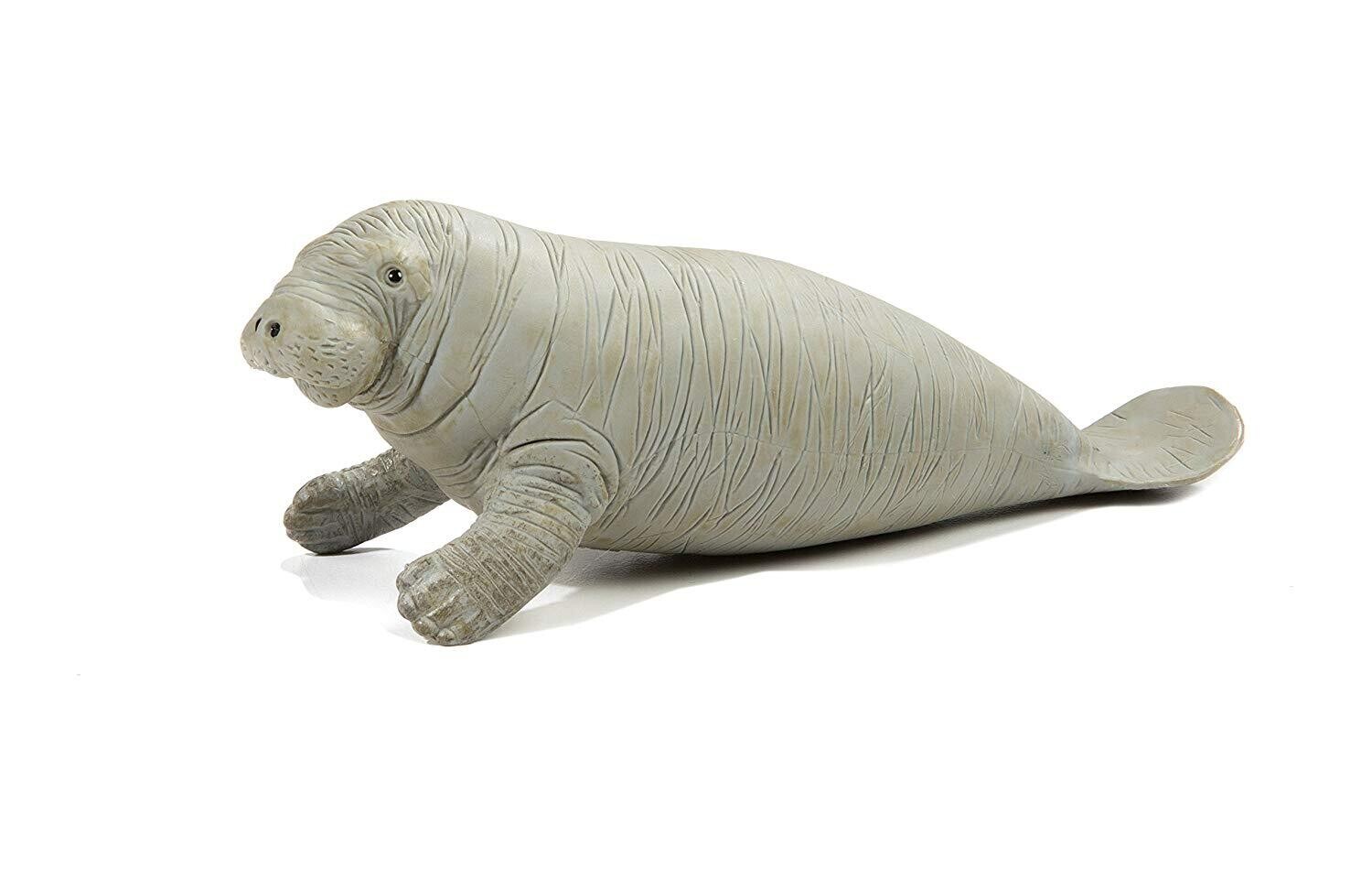 273929 Manatee
