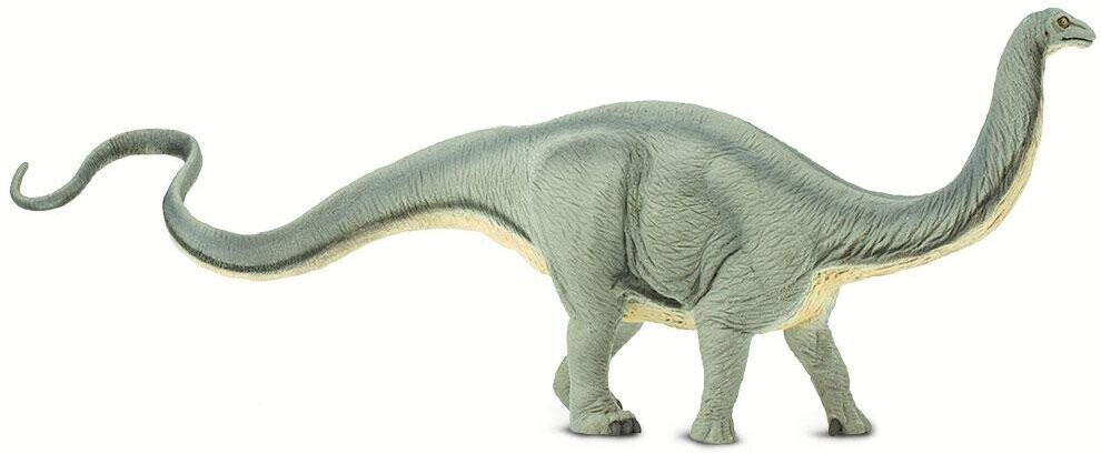 300429 Apatosaurus