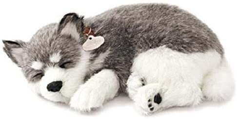 Perfect Petzzz Alaskan Husky