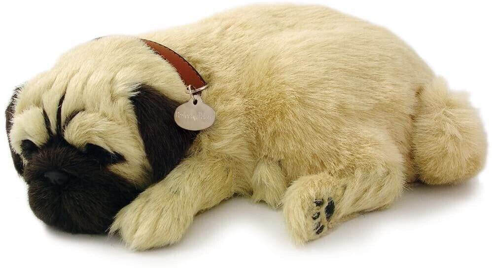 Perfect Petzzz Pug