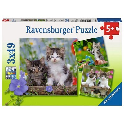 8046 Cuddly Kittens 3 x 49 pc Puzzle