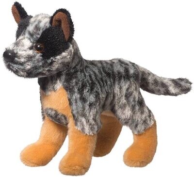 Douglas Clanger Australian Cattle Dog
