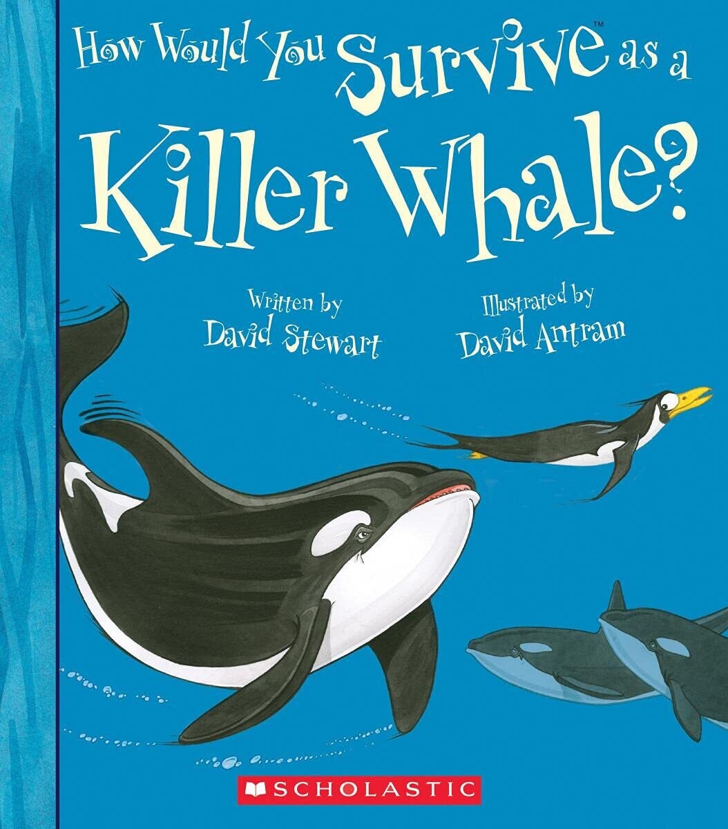 How Would You Survive as a Killer Whale?