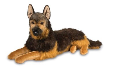 Douglas Major German Shepherd