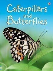 Usborne Caterpillars and Butterflies