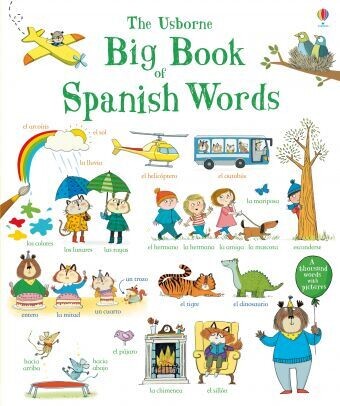 Usborne Big Book of Spanish Words