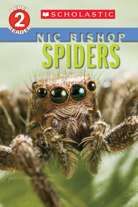 Scholastic Nic Bishop Spiders