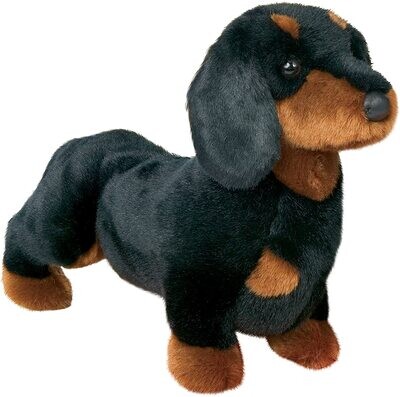 Douglas Spats Blk/Tan Dachshund