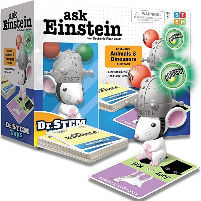 ask Einstein Kindergarten Skills