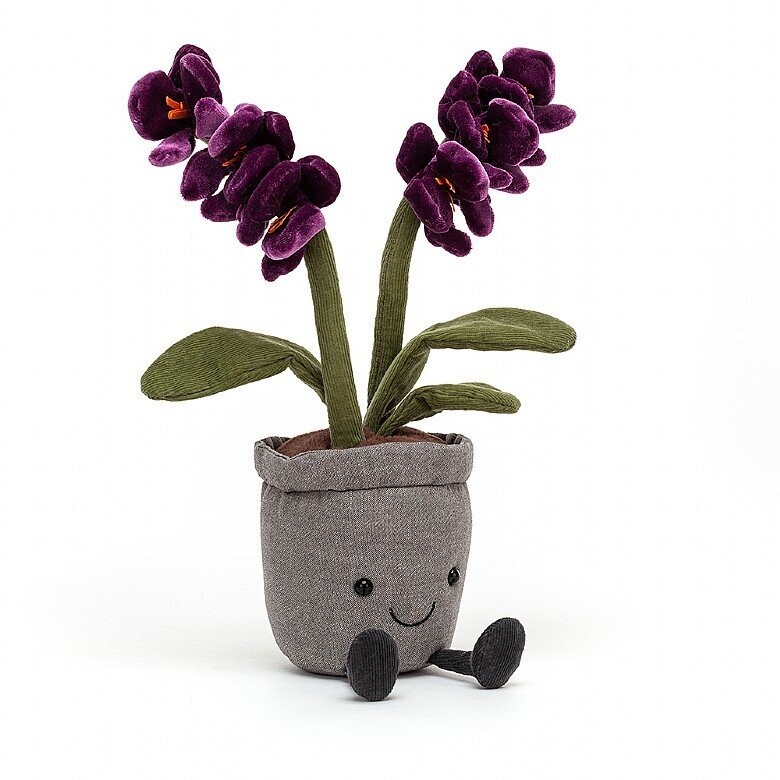 JC Amuseable Purple Orchid
