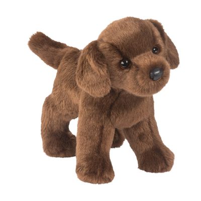 Douglas Tucker Chocolate Lab