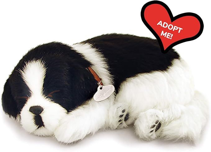 Perfect Petzzz BORDER COLLIE