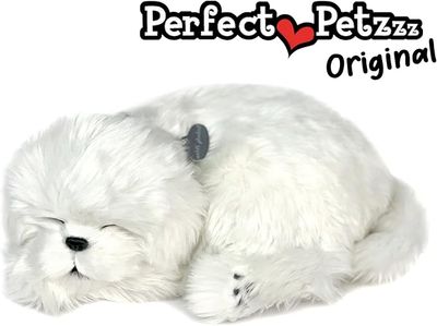 Perfect Petzzz Maltese