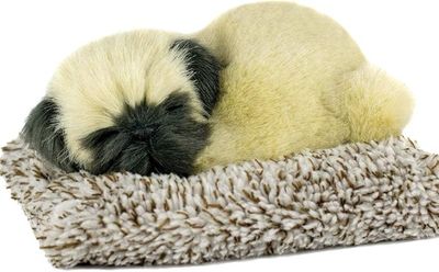 Perfect Petzzz Mini Pug